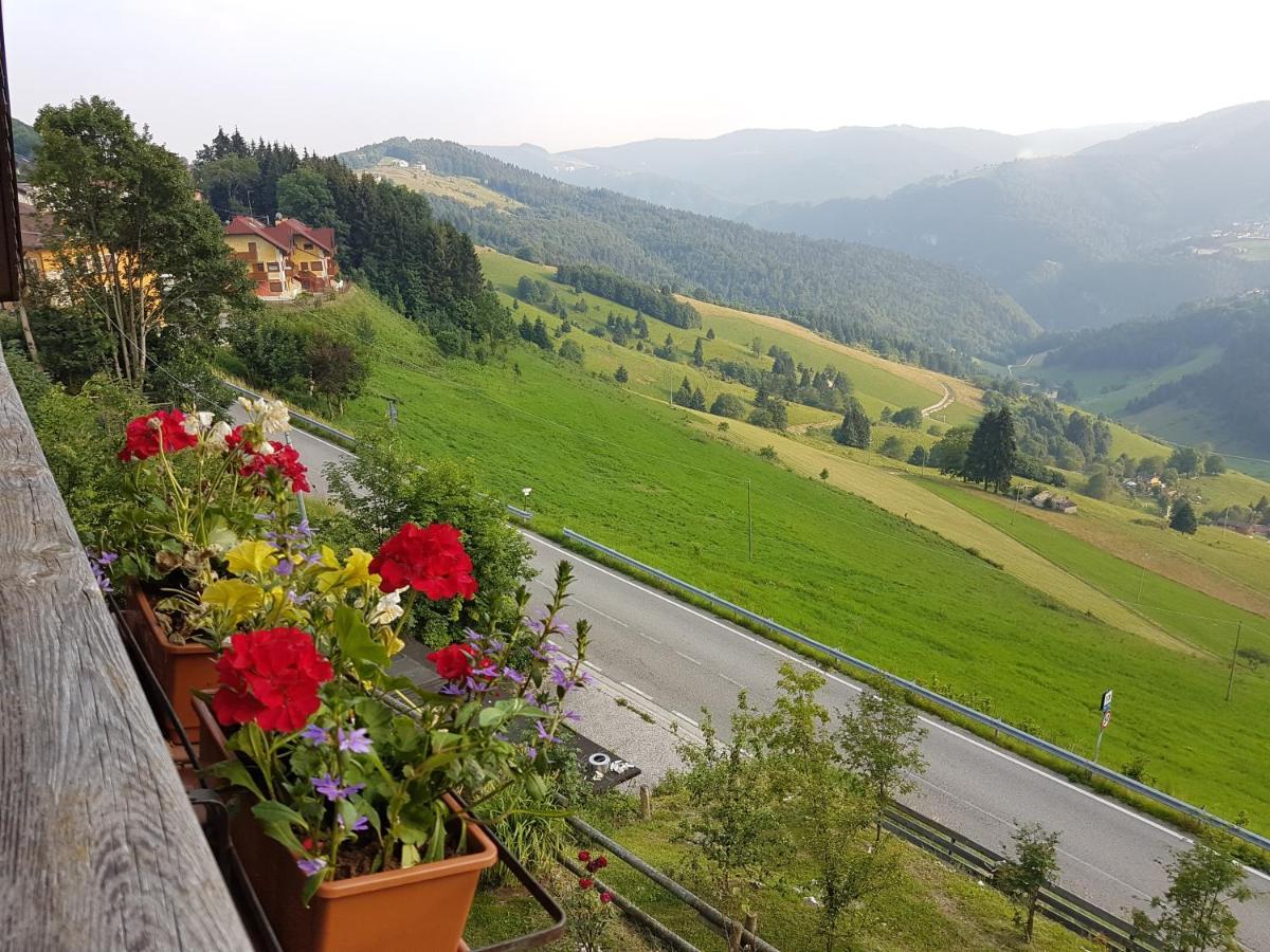 Hotel Alpi - Foza Zewnętrze zdjęcie