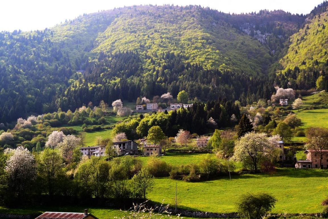Hotel Alpi - Foza Zewnętrze zdjęcie