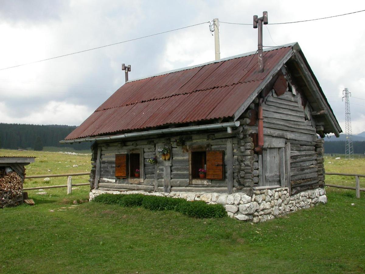 Hotel Alpi - Foza Zewnętrze zdjęcie